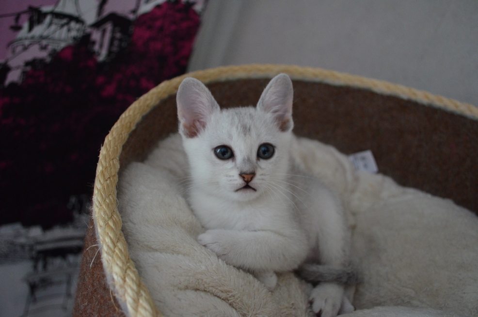 dsc_0057_2.jpg