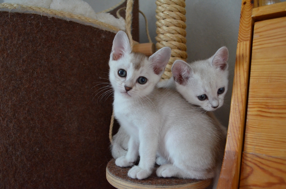 dsc_1909.jpg